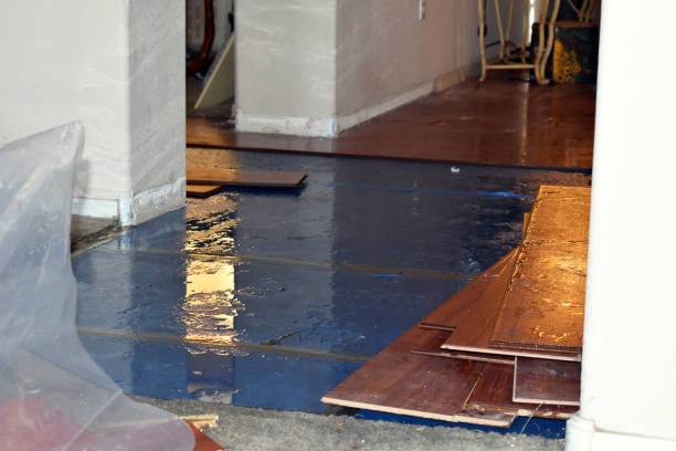Professional Burst Pipe Cleanup technician working in Baileyville, IL