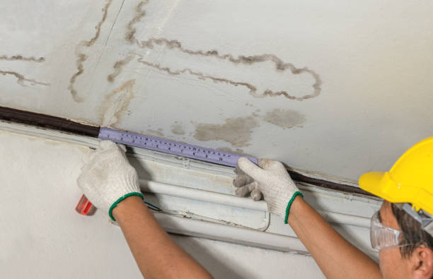 Reliable Burst Pipe Cleanup contractor in Baileyville, IL by Water Damage Irwin